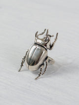 Anillo Escarabajo Gigante