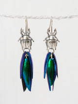 Aretes de escarabajo tornasol ganchos