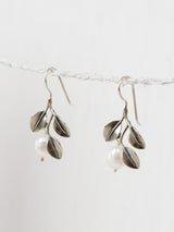 Aretes de tres manglares ganchos