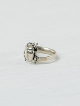 Anillo escarabajo mini